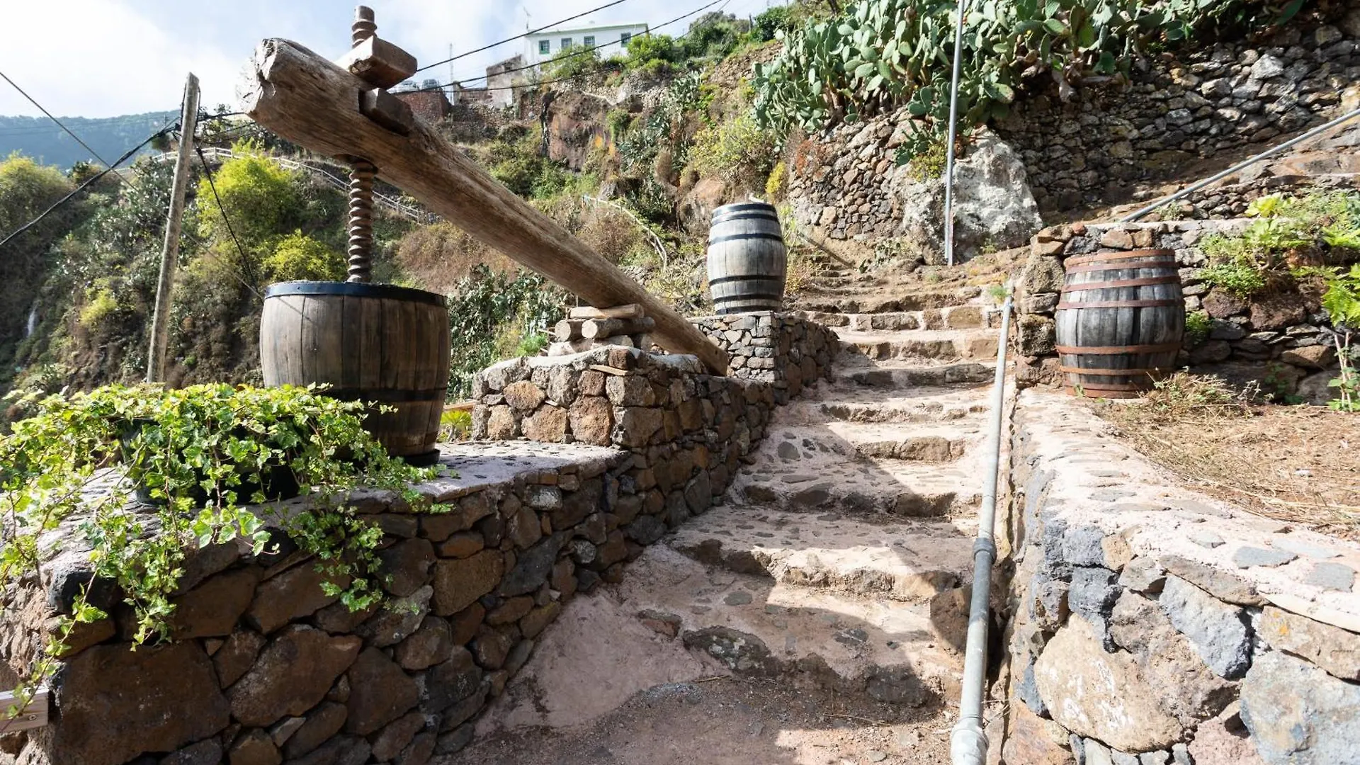 #1 Cave House Anaga, Unique Stay, Mountains And Private Sauna, Los Pinos Дом отдыха